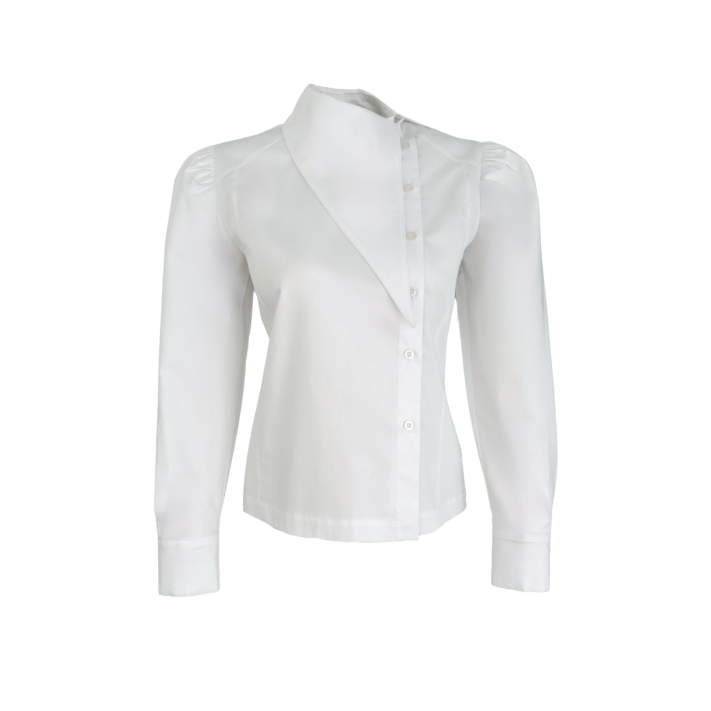 Berry Asymmetric Collar Detailed Shirt