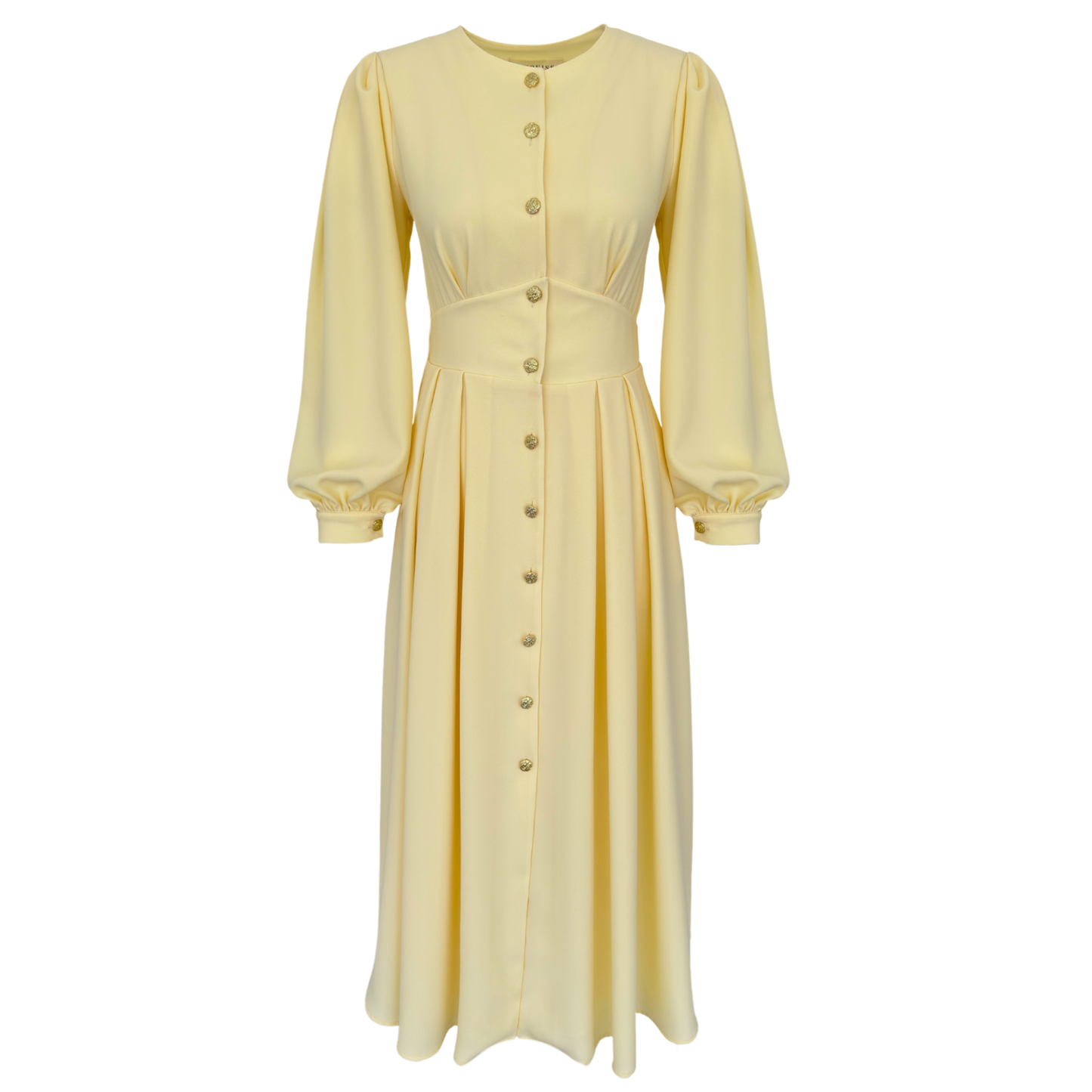 Poise Button Down Dress