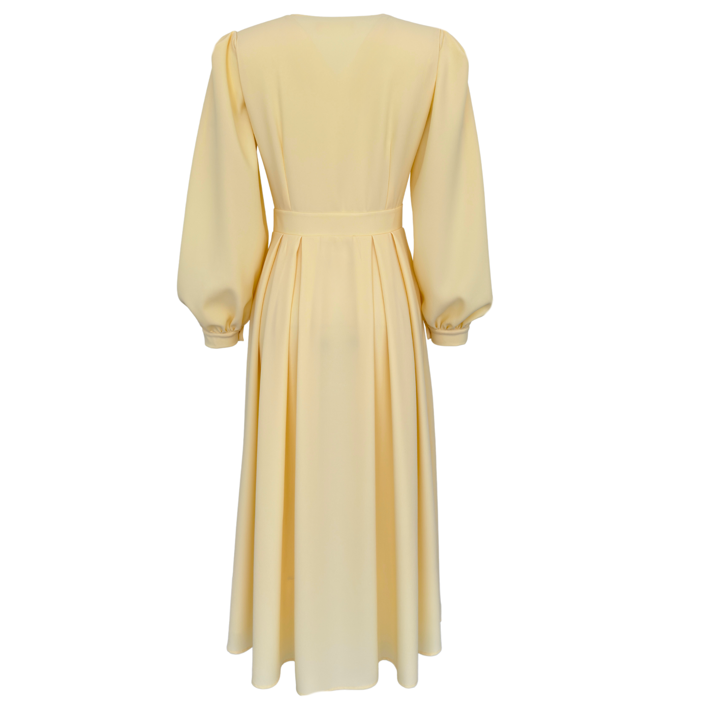 Poise Button Down Dress