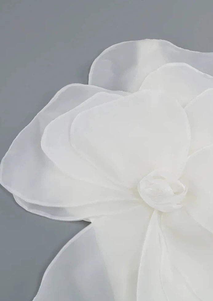 Eden 3D Appliqué Dress