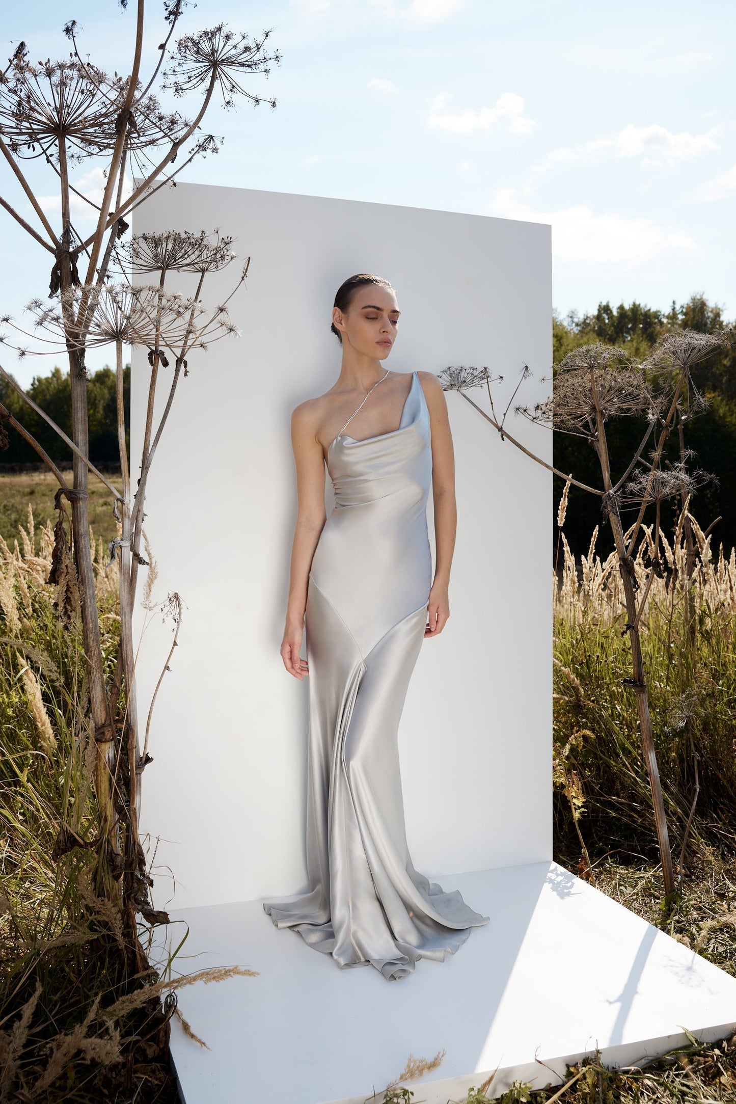 Silver Iris Dress