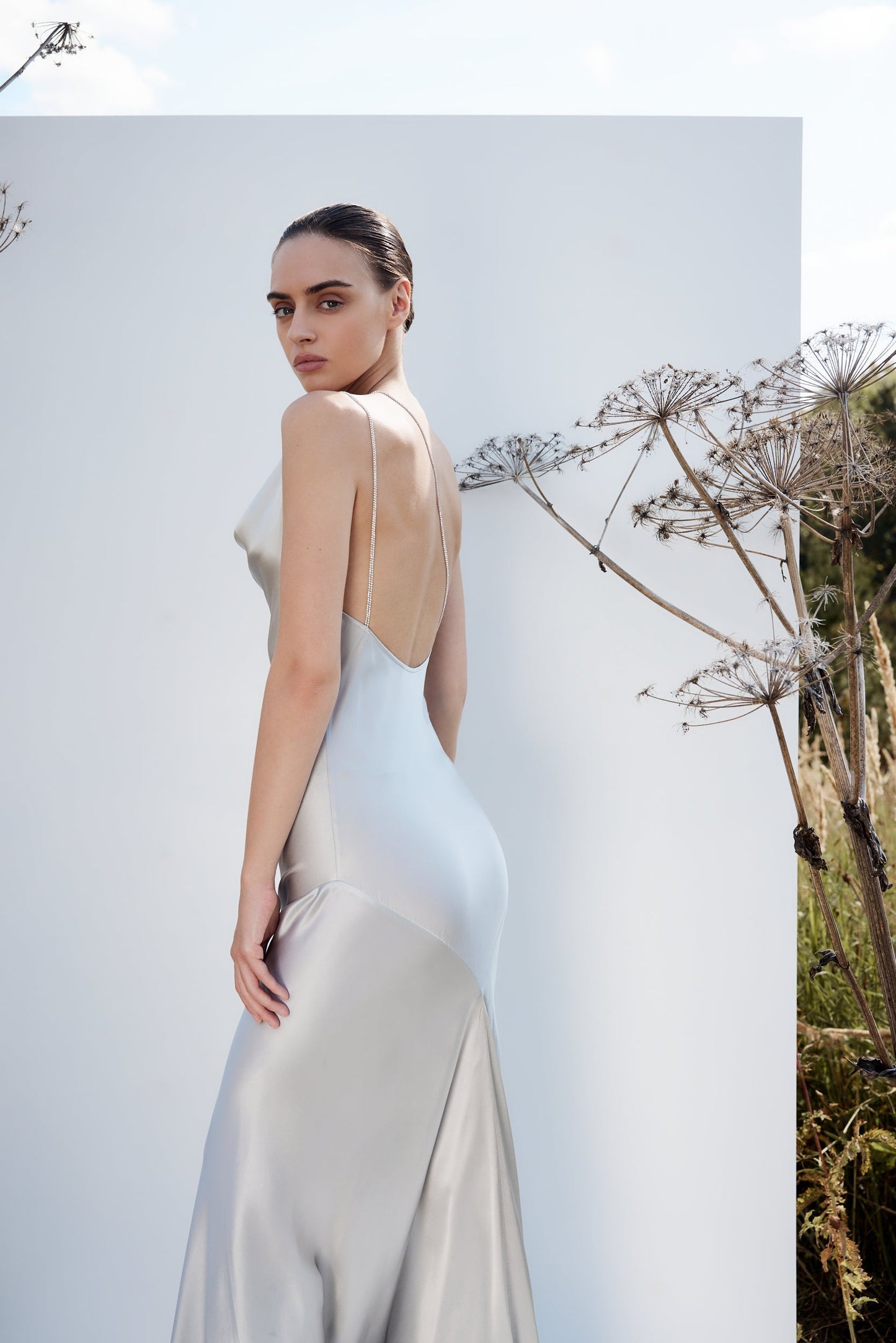 Silver Iris Dress