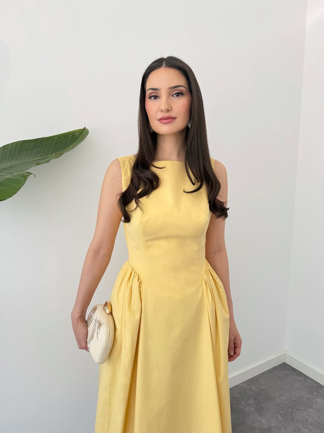 Solène Classic Flare Dress