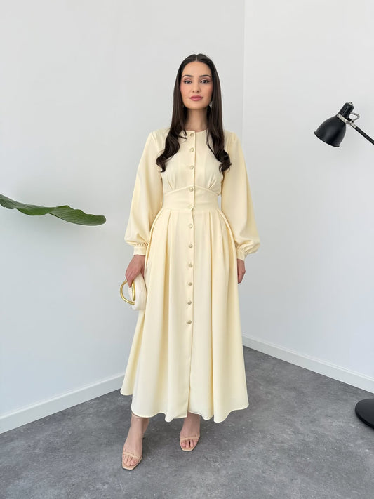 Poise Button Down Dress